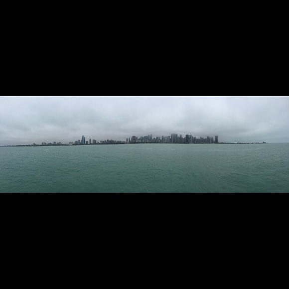 Meet your Posher, Cat! - Picture 1 of 1